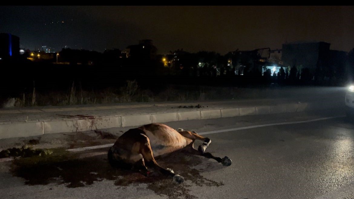 Başıboş ata çarpıp kaçtı, arkasına bile bakmadı
