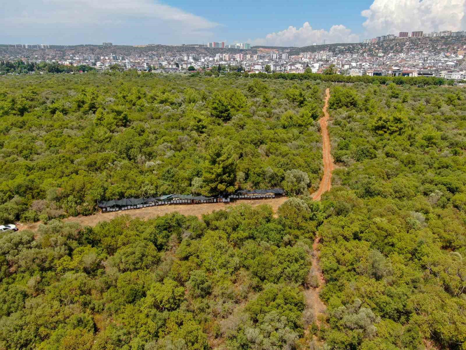 Oğlunun ölümünün ardından dedesinden kalma arıcılık mesleğiyle hayata tutundu
