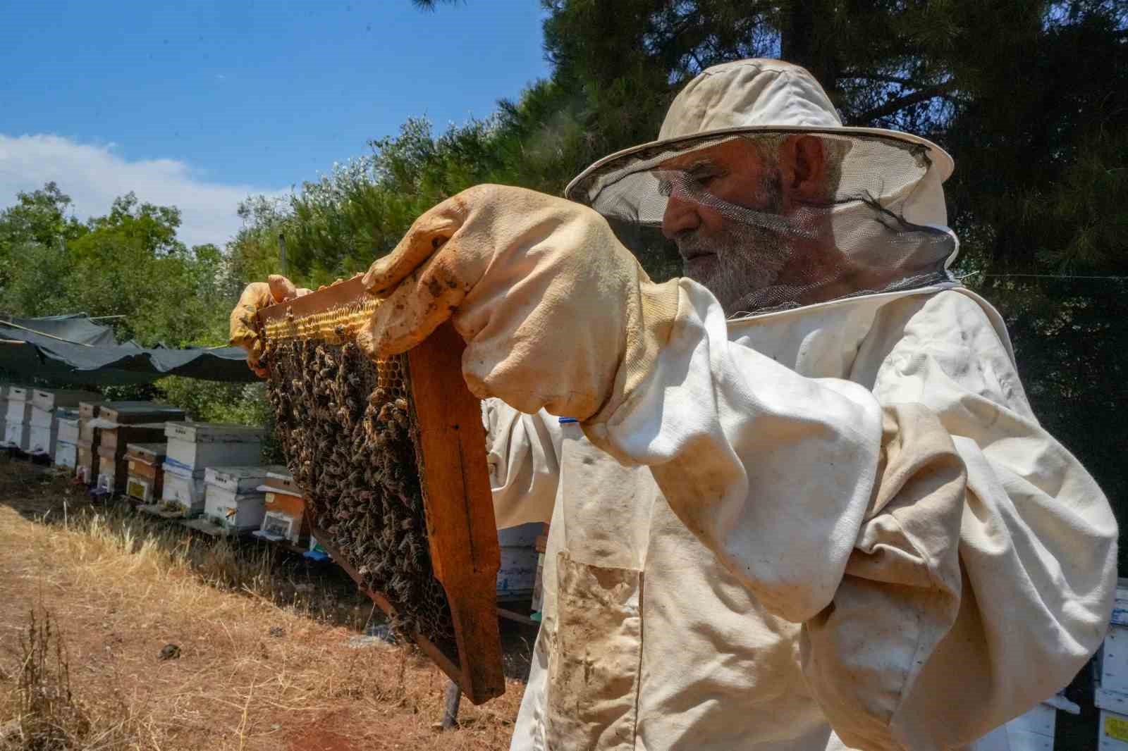 Oğlunun ölümünün ardından dedesinden kalma arıcılık mesleğiyle hayata tutundu
