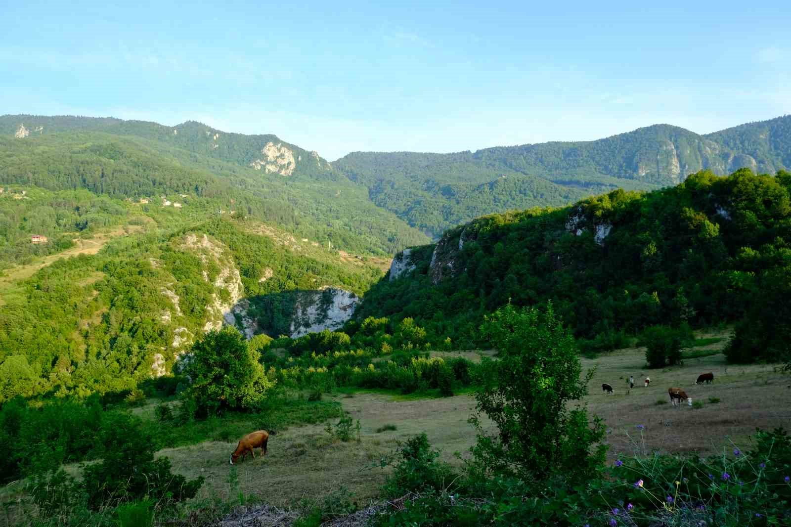 İlk kez memleketlerini ziyaret edip doyasıya eğlendiler
