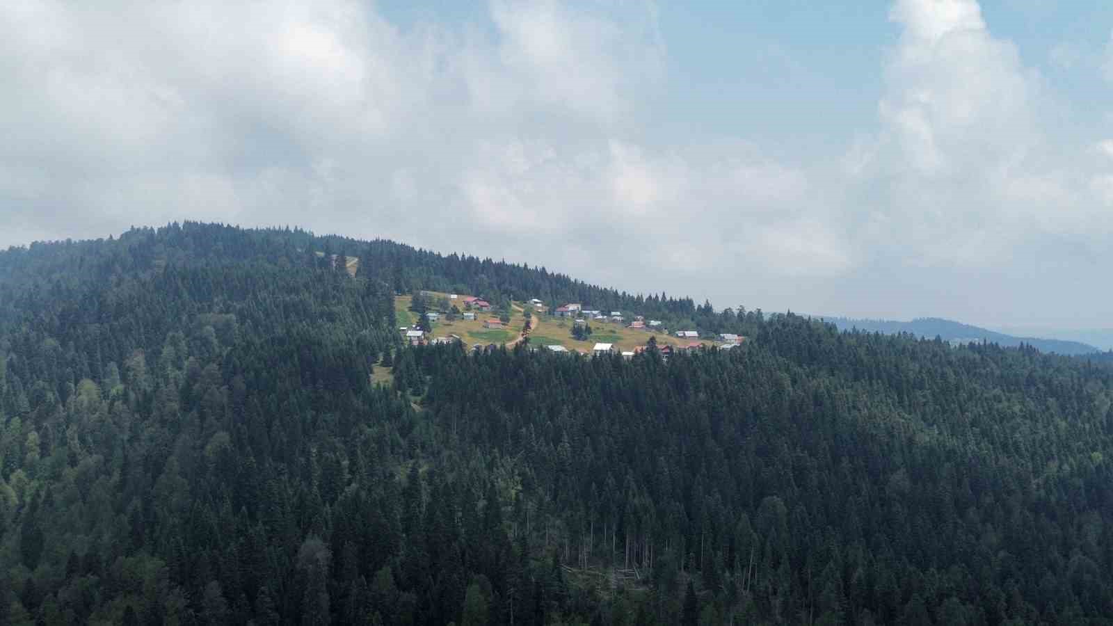 Serinlemek isteyen bu yaylaya koşuyor
