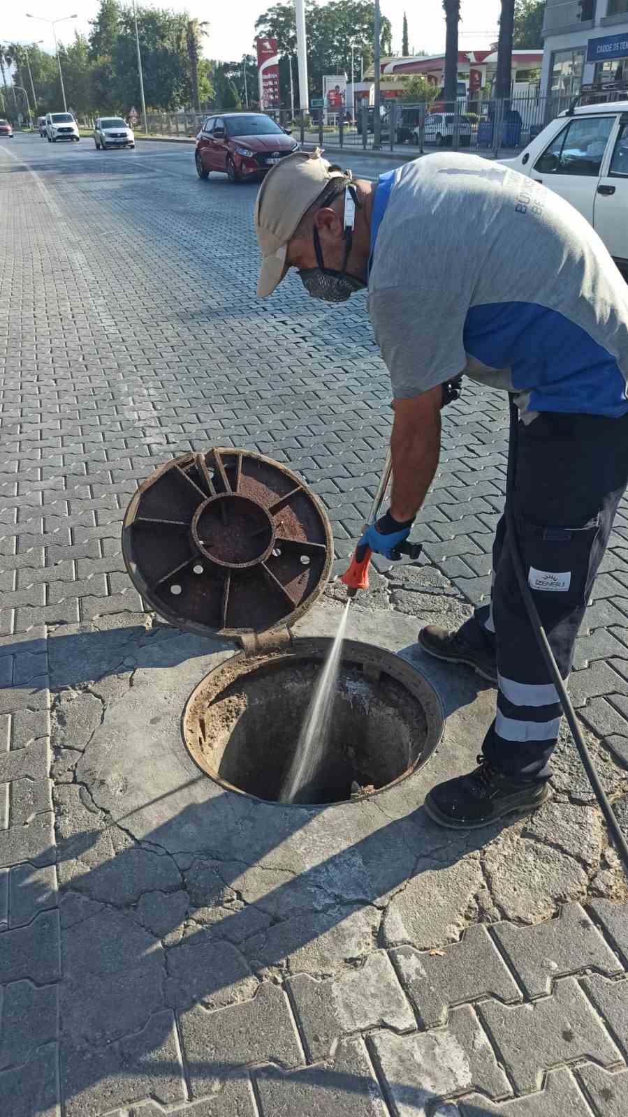 Selçuk’ta haşereyle mücadelede önlemler artırıldı
