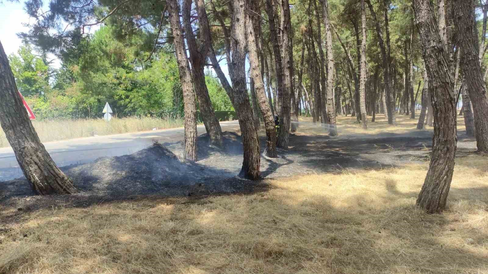 Çamlıkta tehlikeden dönüldü
