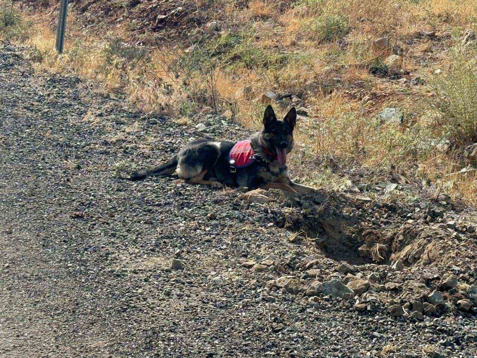 Diyarbakır’da yol kenarına tuzaklanmış 2 adet EYP bulundu
