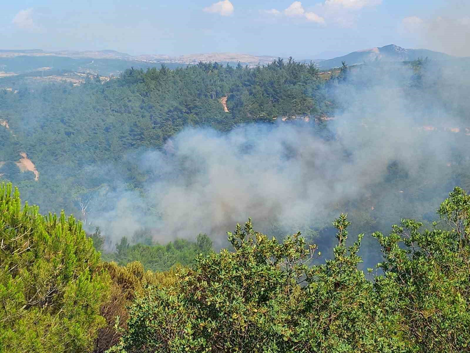 Balıkesir’deki orman yangınlarına müdahale sürüyor
