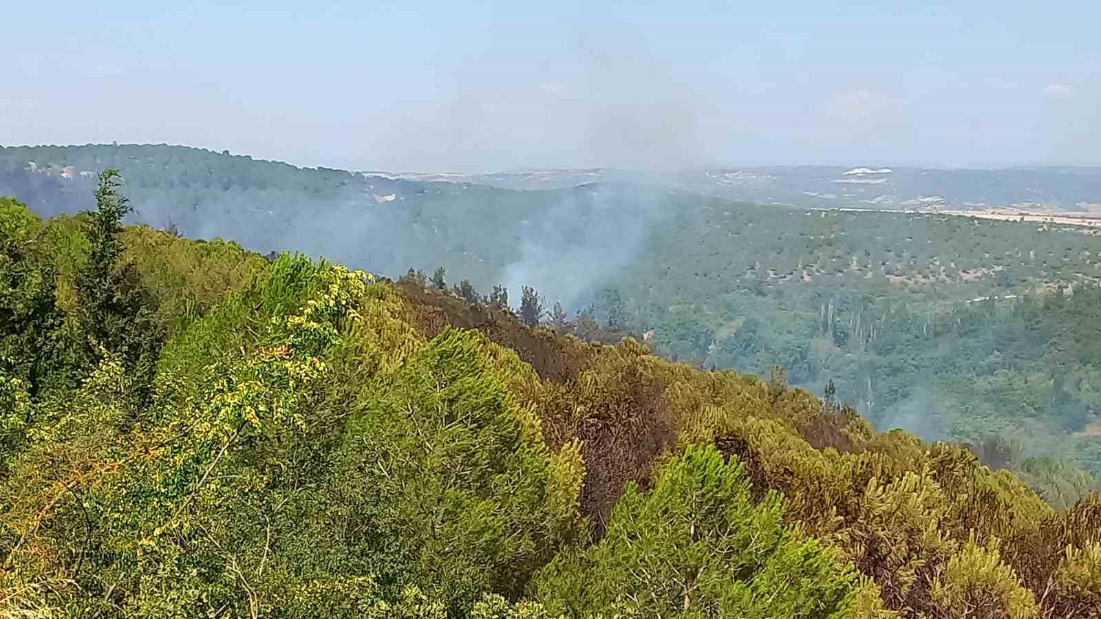 Balıkesir’deki orman yangınlarına müdahale sürüyor
