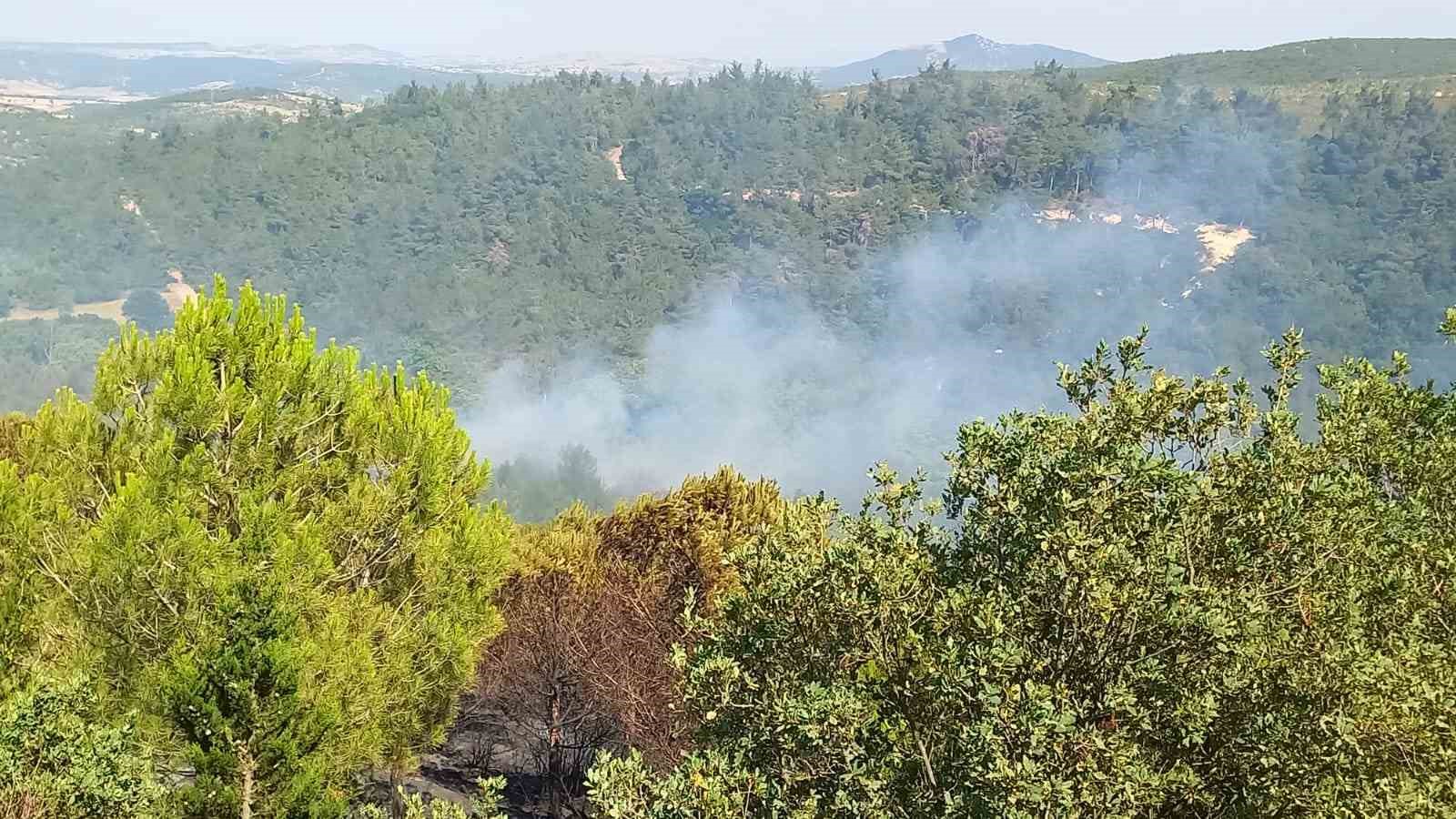 Balıkesir’deki orman yangınlarına müdahale sürüyor
