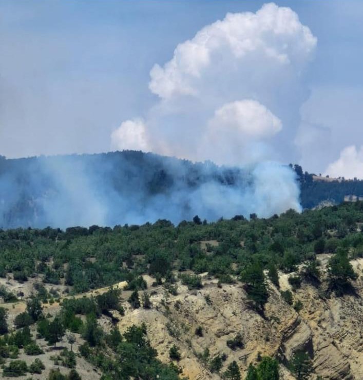 Osmancık’ta çıkan orman yangını kontrol altına alındı
