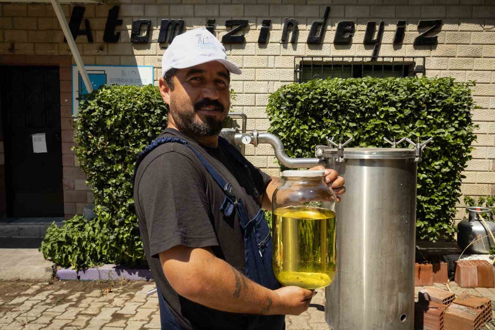 Mis kokulu lavantalarda hasat heyecanı
