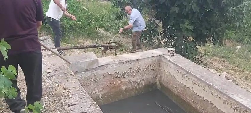 Amasya’da sulama havuzuna düşen yaban domuzu yavrusu kurtarıldı
