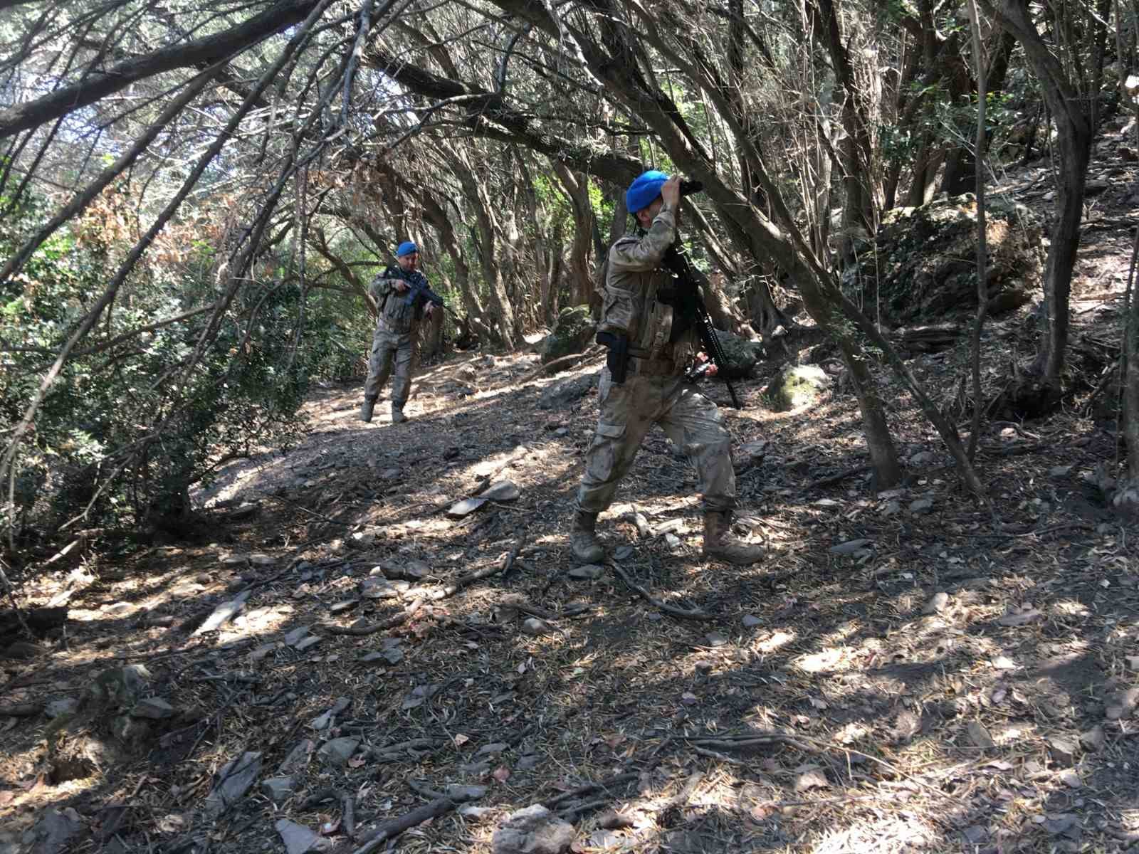 Ormanların koruyucuları iş başında
