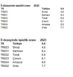 Orta Karadeniz’de en yüksek işsizlik oranı Samsun’da
