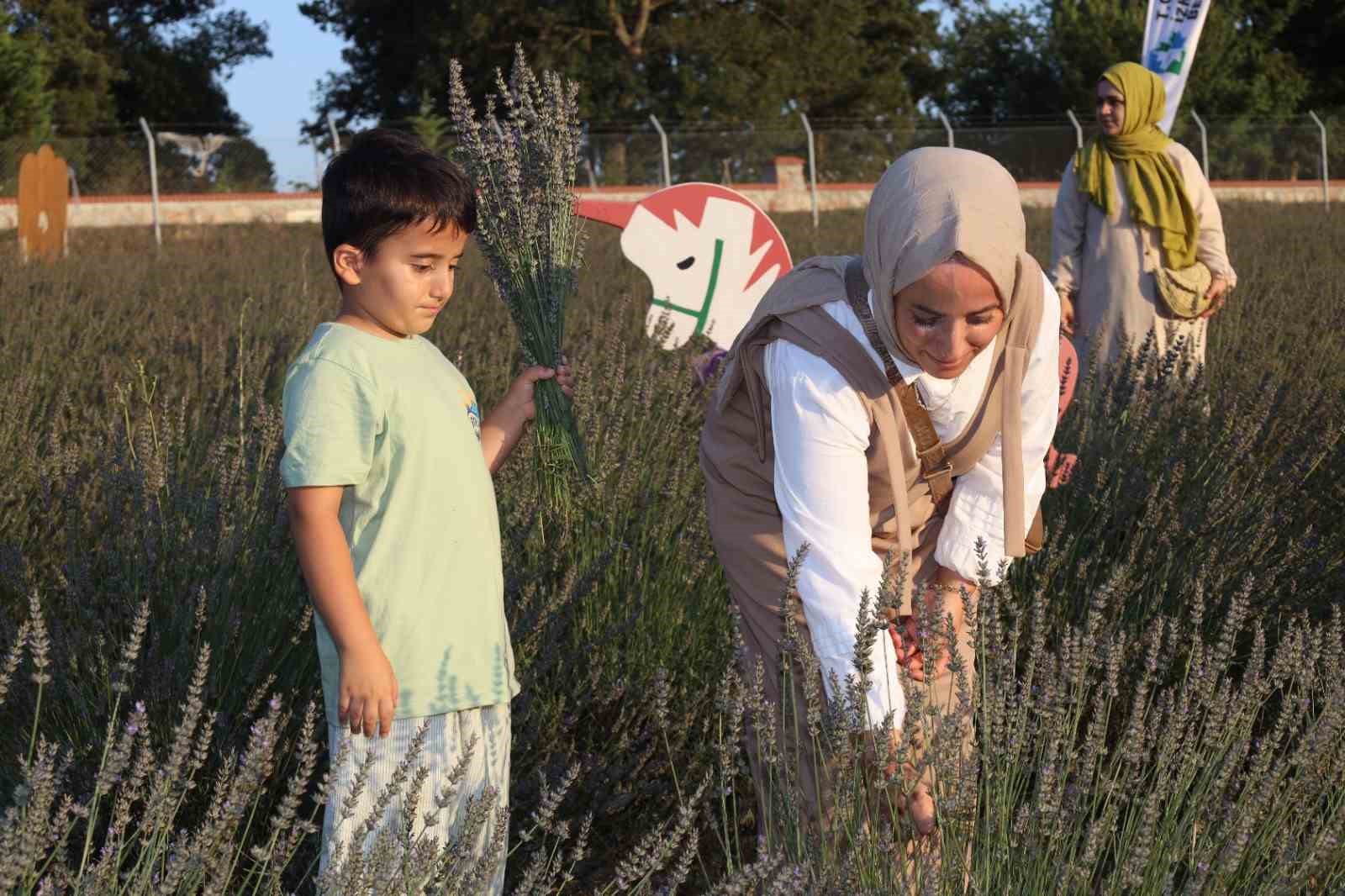 Özel çocuklar ve aileleri İzmit’in lavanta bahçesinde buluştu
