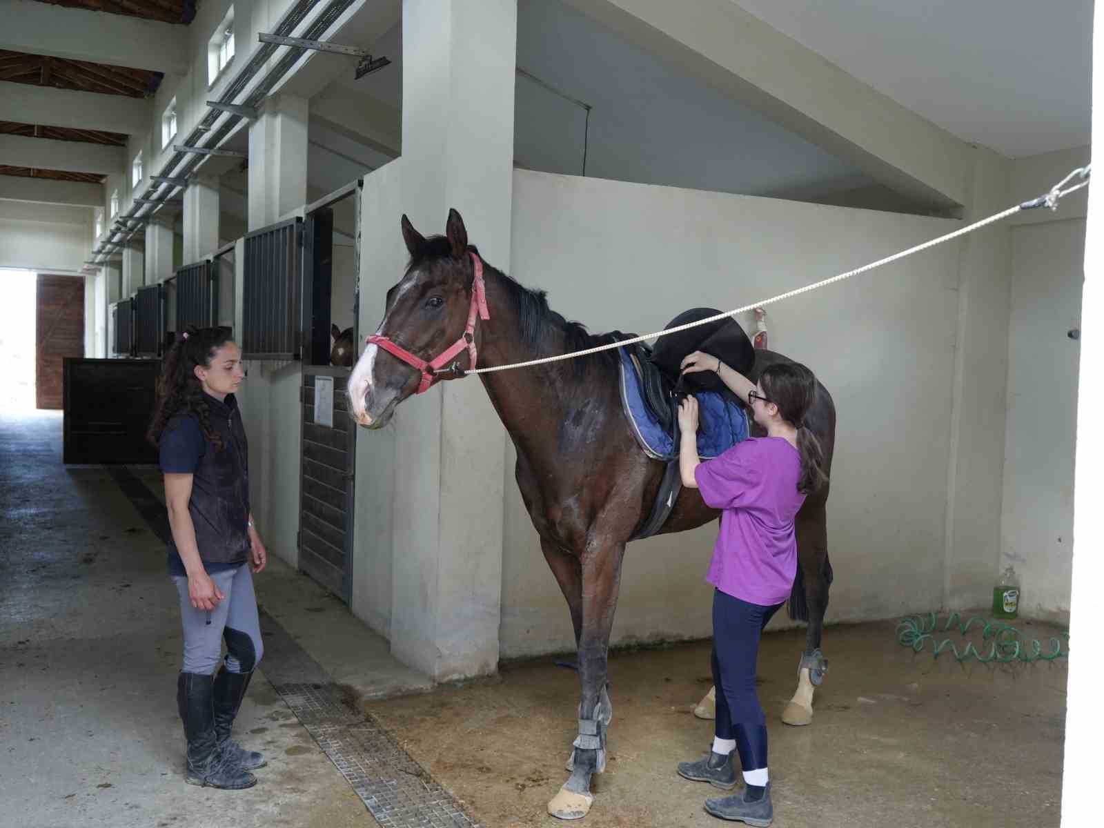 Atlarla dolu hem çocuklara umut oluyor hem de şehir stresini unutturuyor
