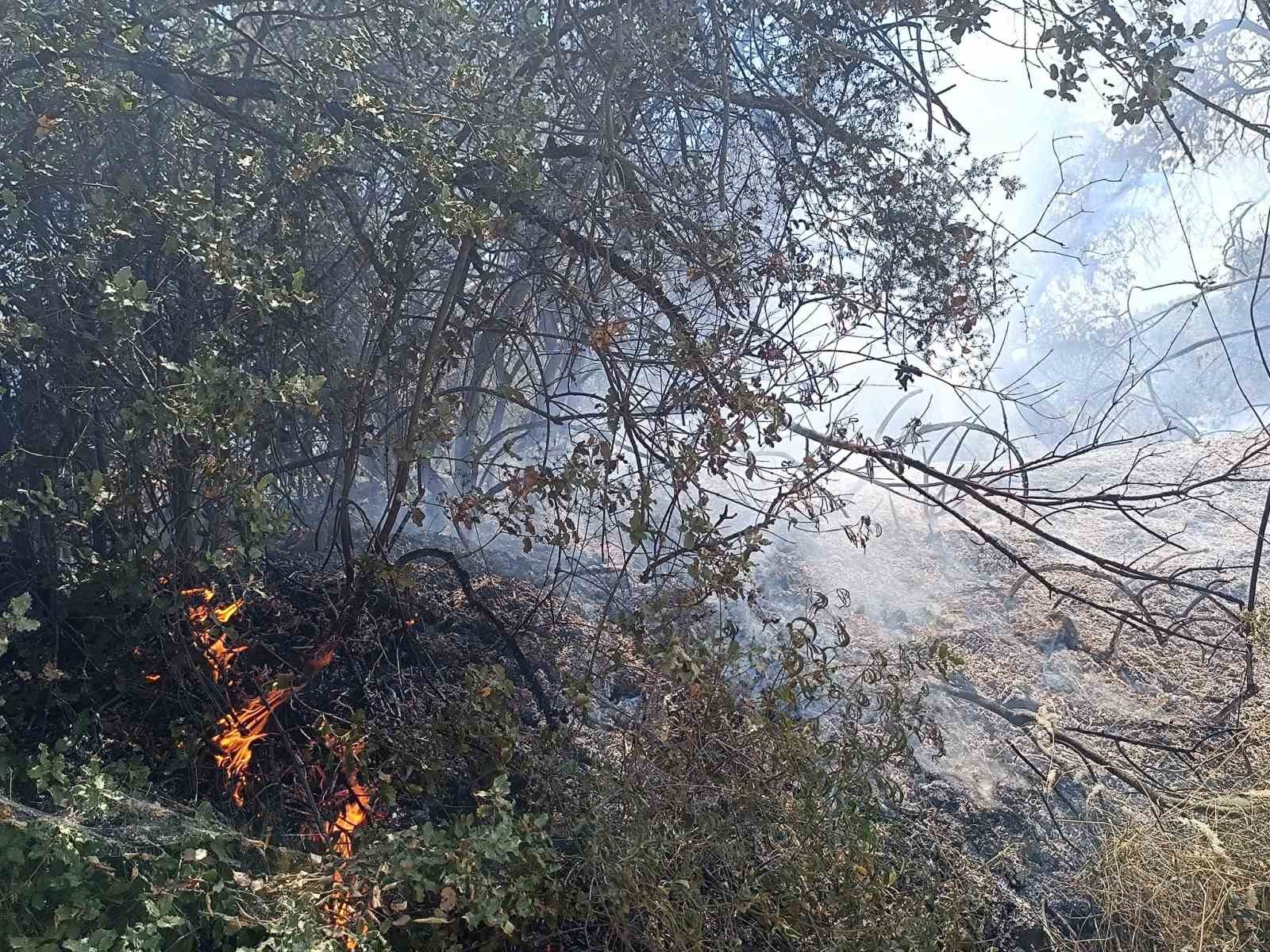 Turgutlu’da orman yangını evlere sıçradı
