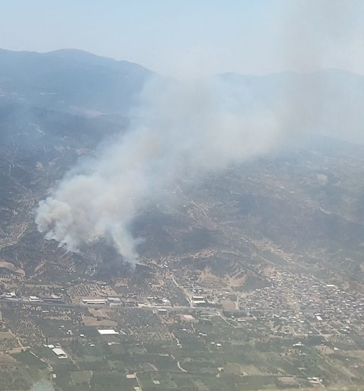 Turgutlu’da orman yangını evlere sıçradı
