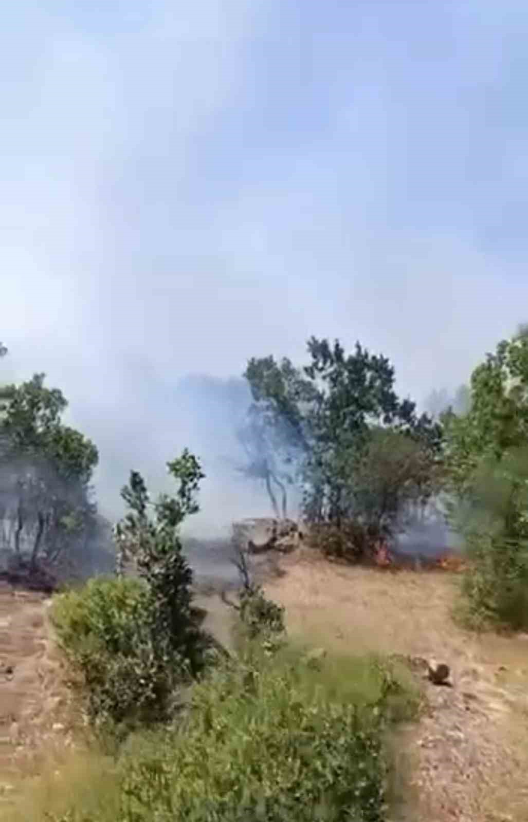 Bursa’da orman yangını çıktı, havadan ve karadan müdahaleler başladı
