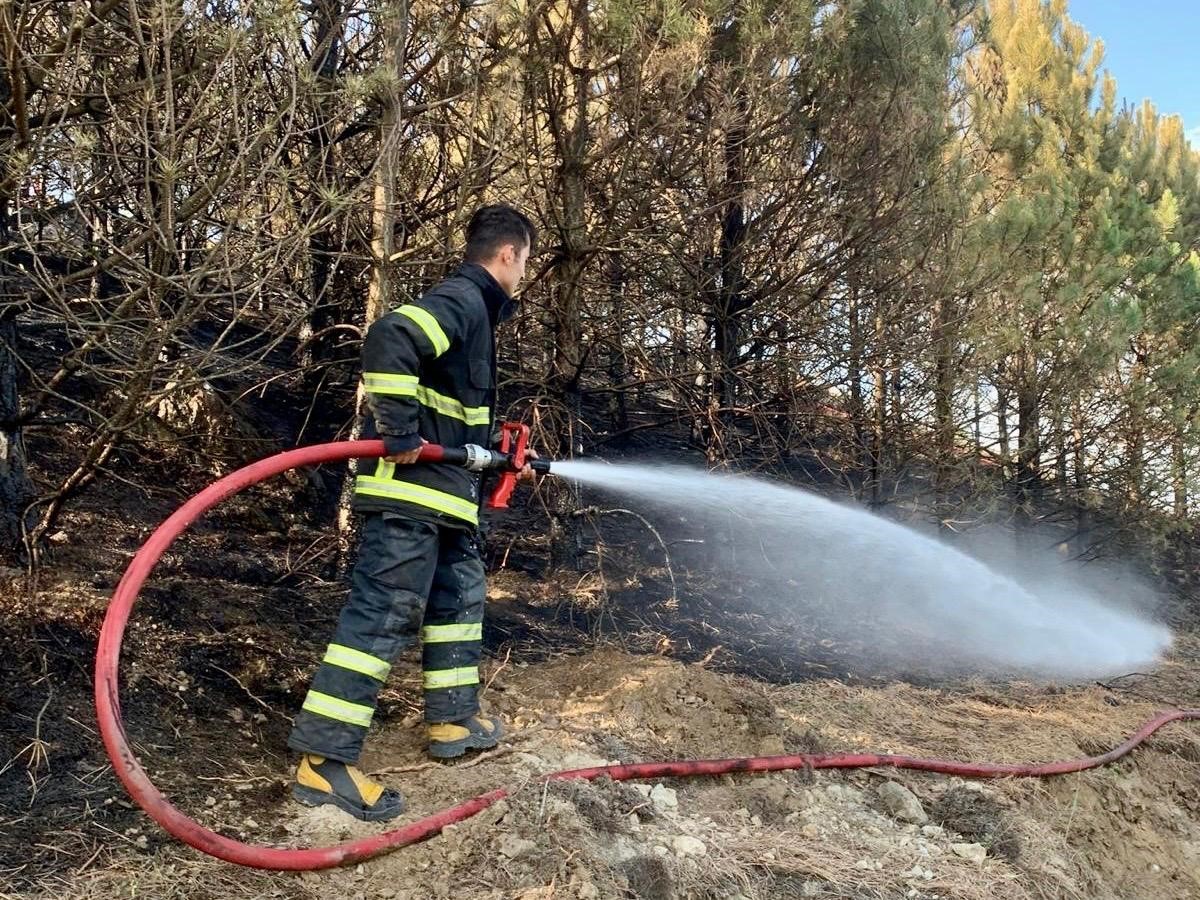 Samsun’da 6 ayda 371 anız yangını kontrol atına alındı
