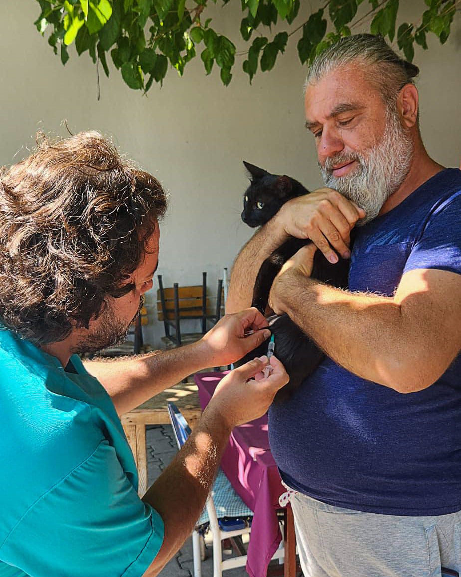 Ortaca’da kedi ve köpeklere kuduz aşısı yapıldı
