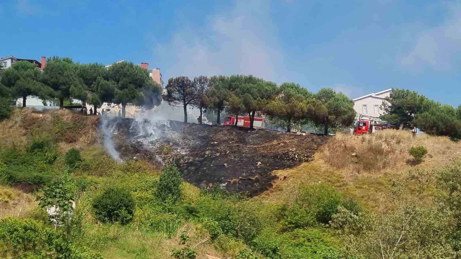 Sinop’ta ot yangını: Çam ağaçları zarar gördü
