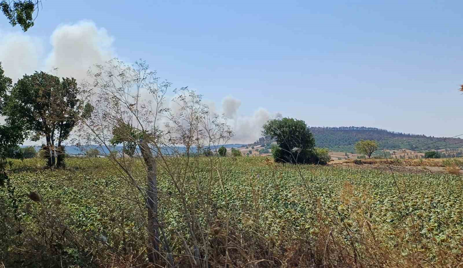 Balıkesir’de arazide çıkan yangın ormana sıçradı
