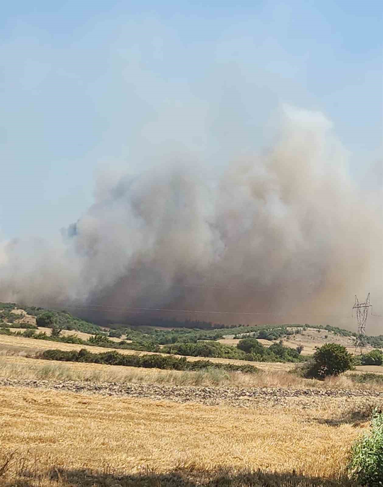 Balıkesir’de arazide çıkan yangın ormana sıçradı
