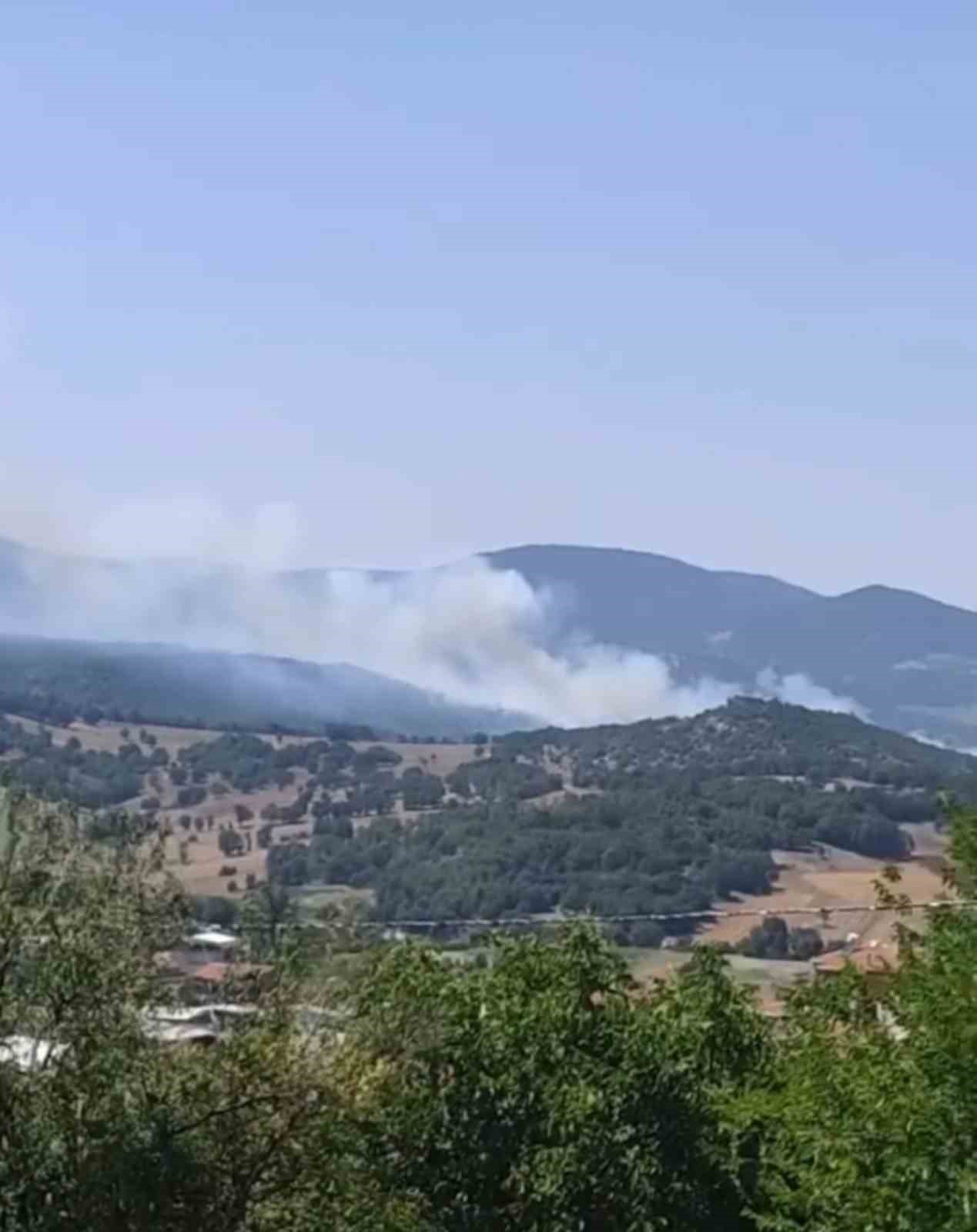 Bursa’da orman yangınına havadan ve karadan müdahale sürüyor
