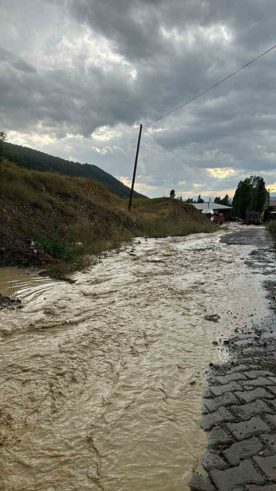 Gümüşhane’de sağanak yağış sele neden oldu
