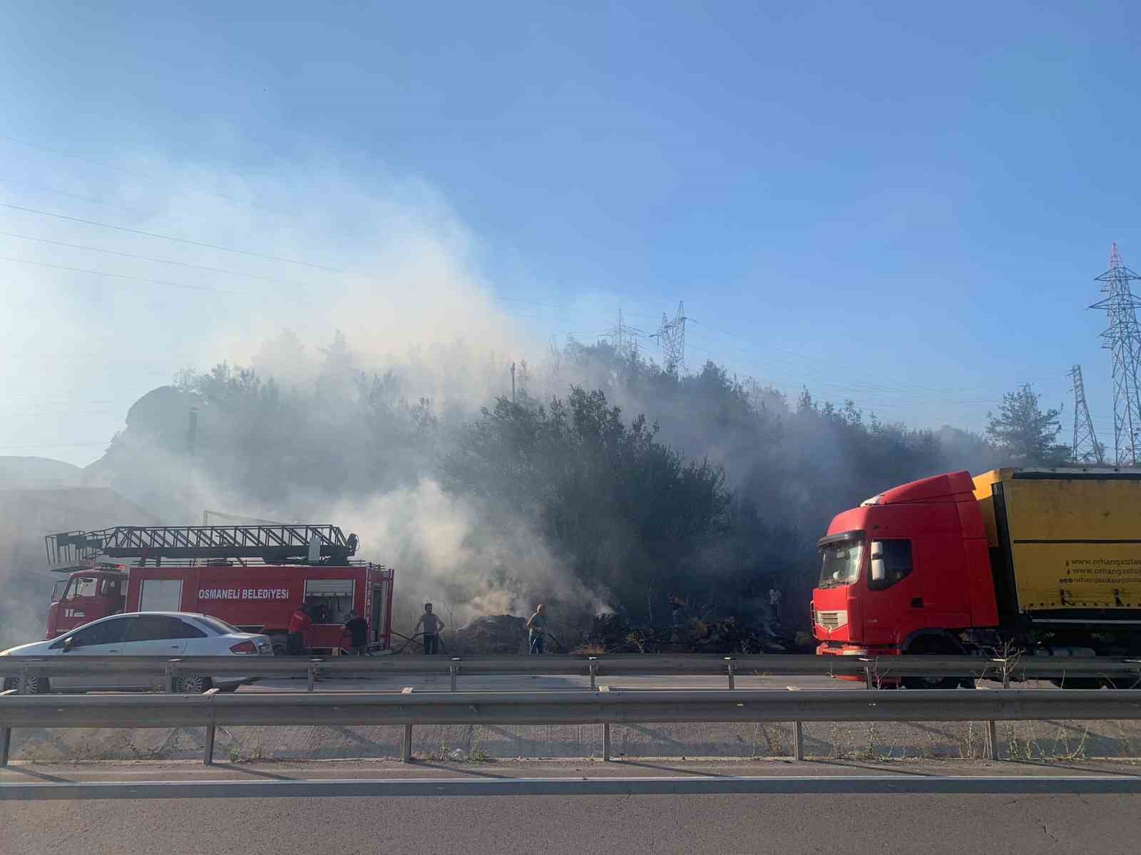 Bilecik’teki orman yangını söndürüldü
