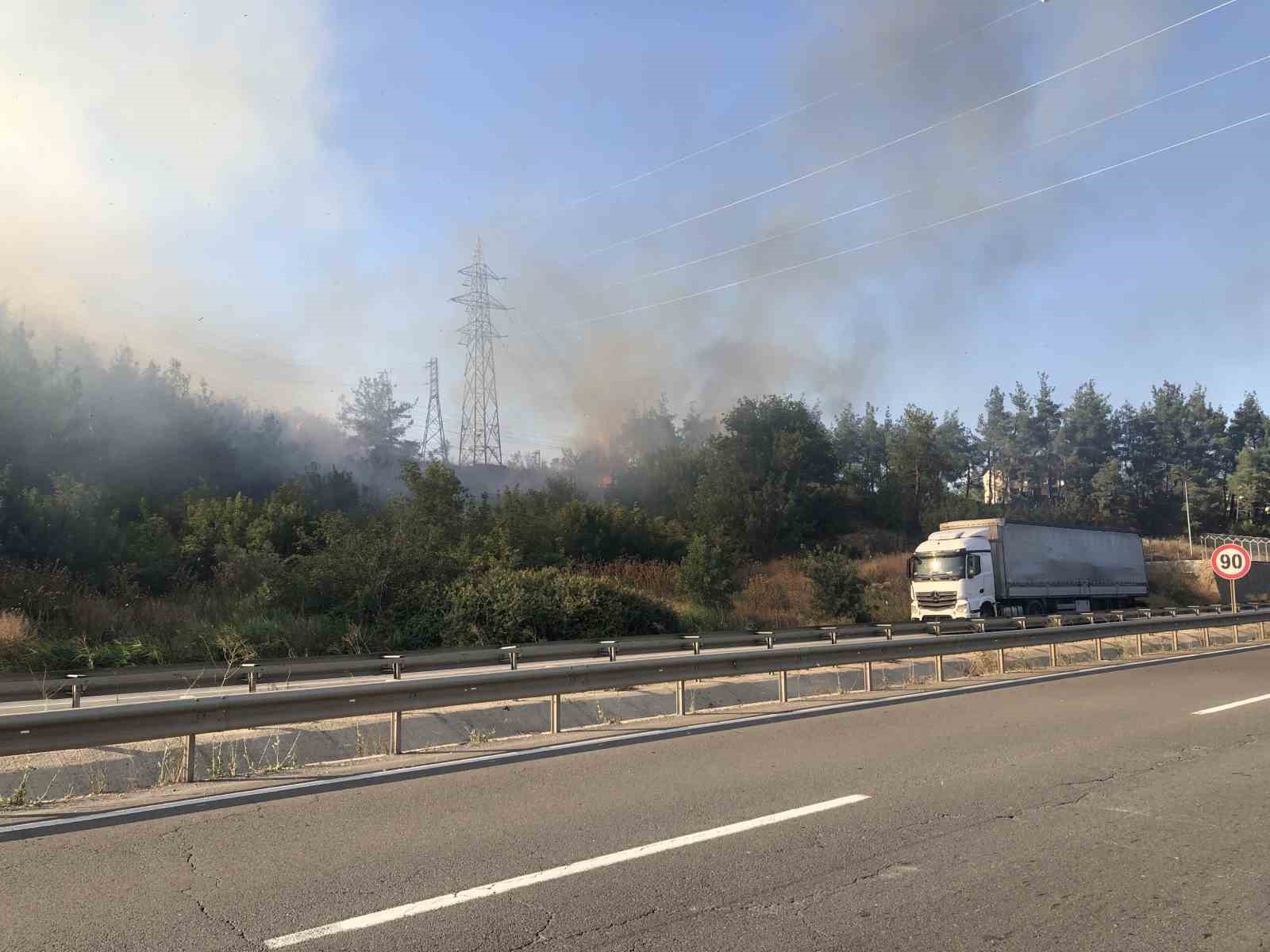 Bilecik’teki orman yangını söndürüldü
