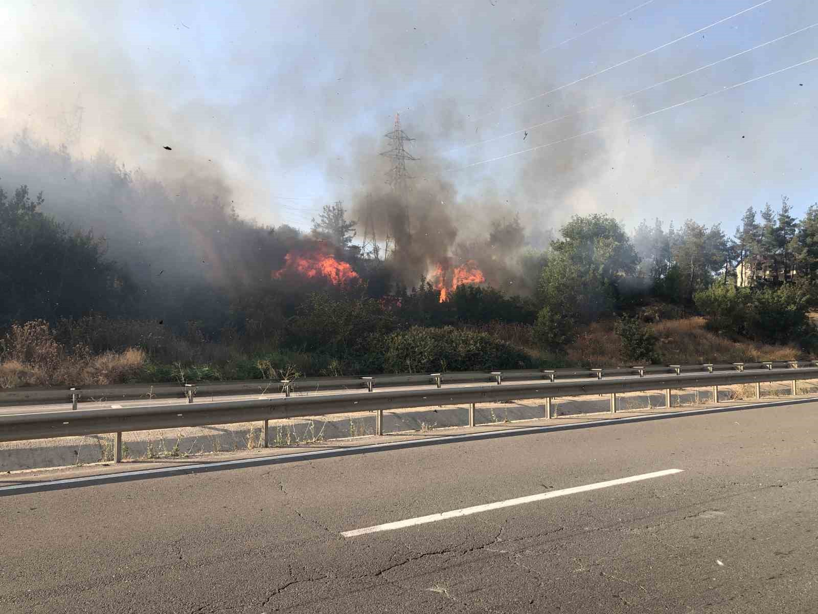 Bilecik’teki orman yangını söndürüldü
