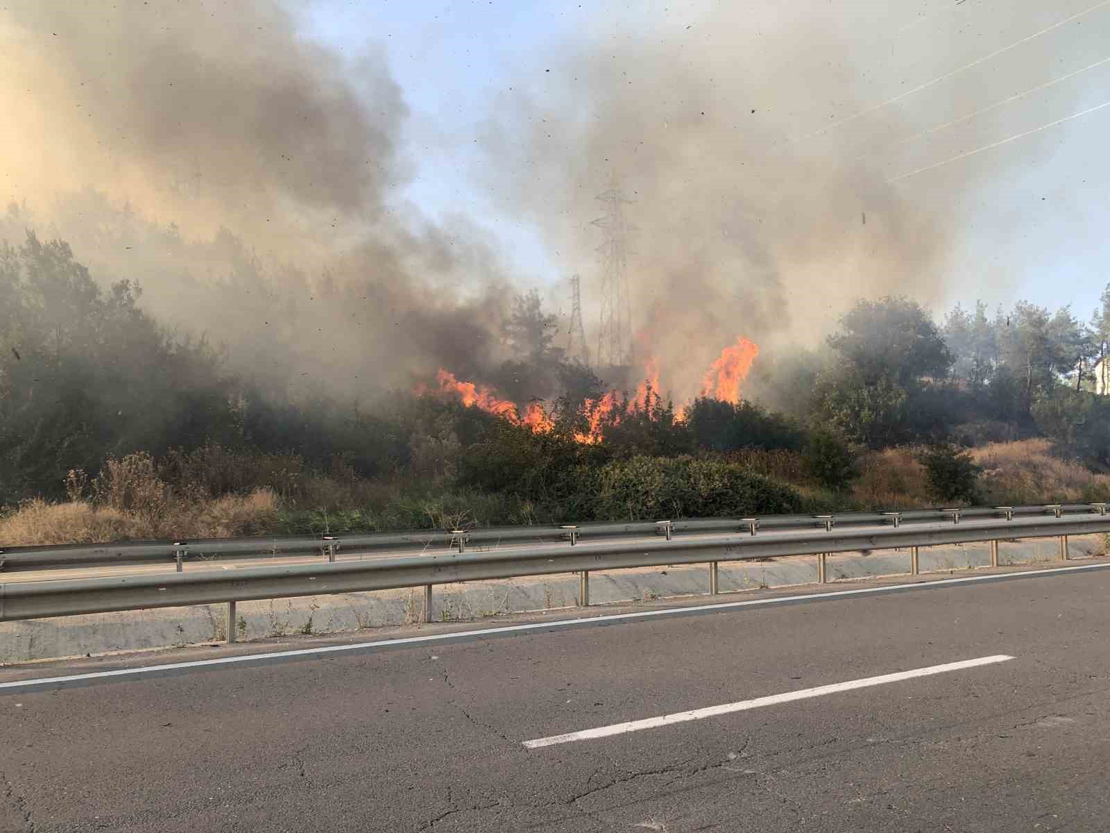 Bilecik’teki orman yangını söndürüldü
