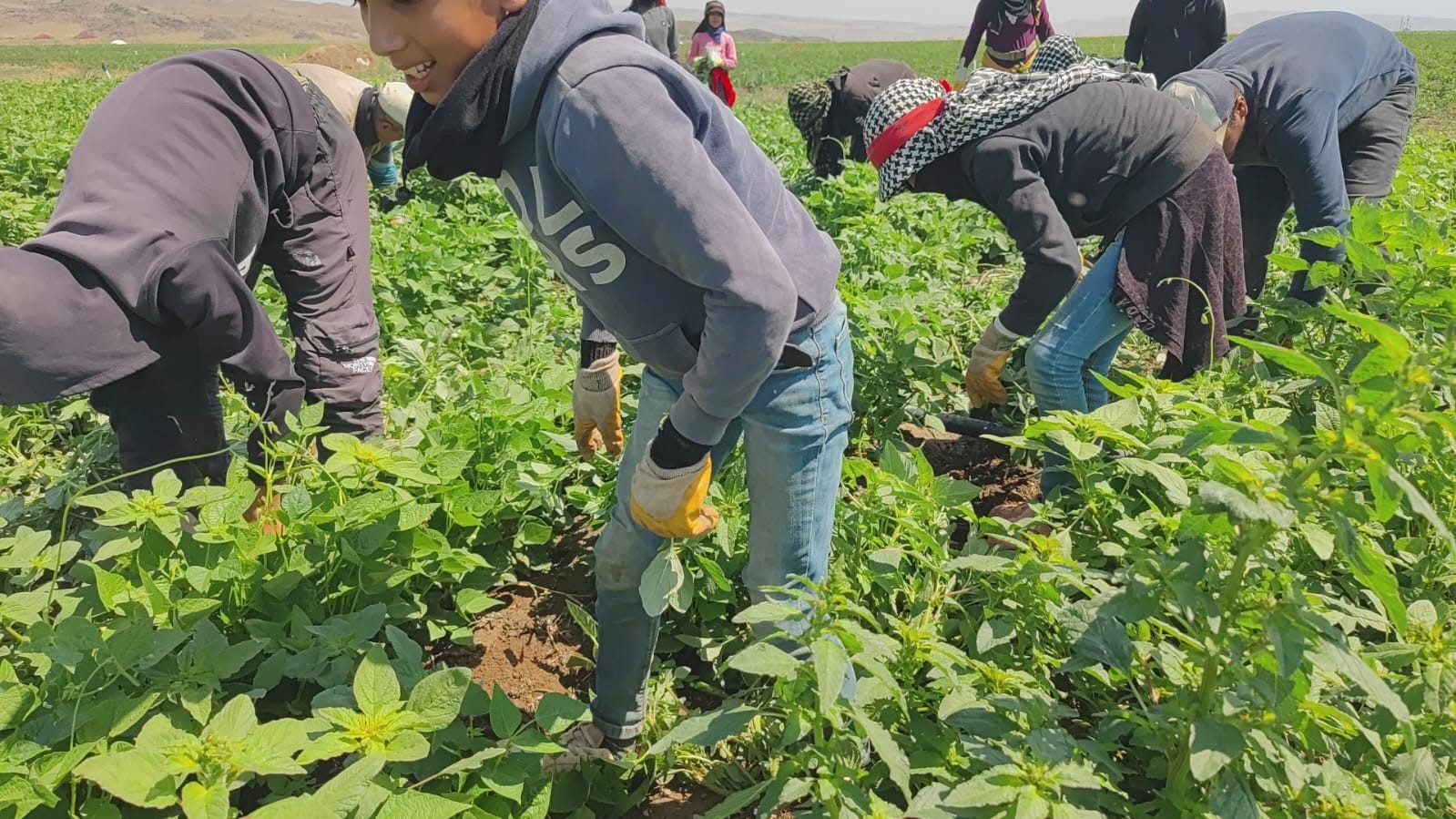 Kavurucu sıcakta ekmek parası için ter döküyorlar
