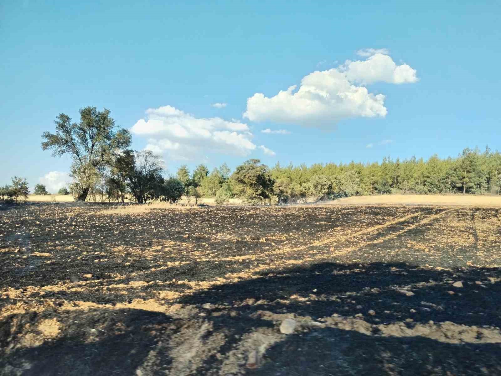 Uşak’ta ormanlık alanda çıkan yangın kontrol altına alındı
