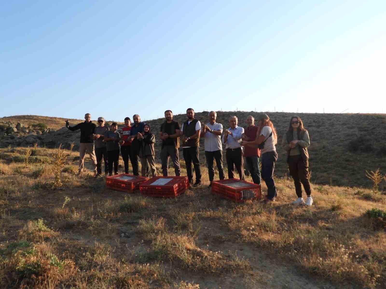 Sivrihisar’da 600 adet kınalı kekliğin doğaya salımı gerçekleştirildi
