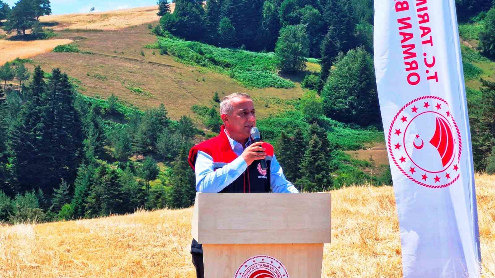 Samsun’da organik buğday hasadı ve hasat makinesi dağıtımı
