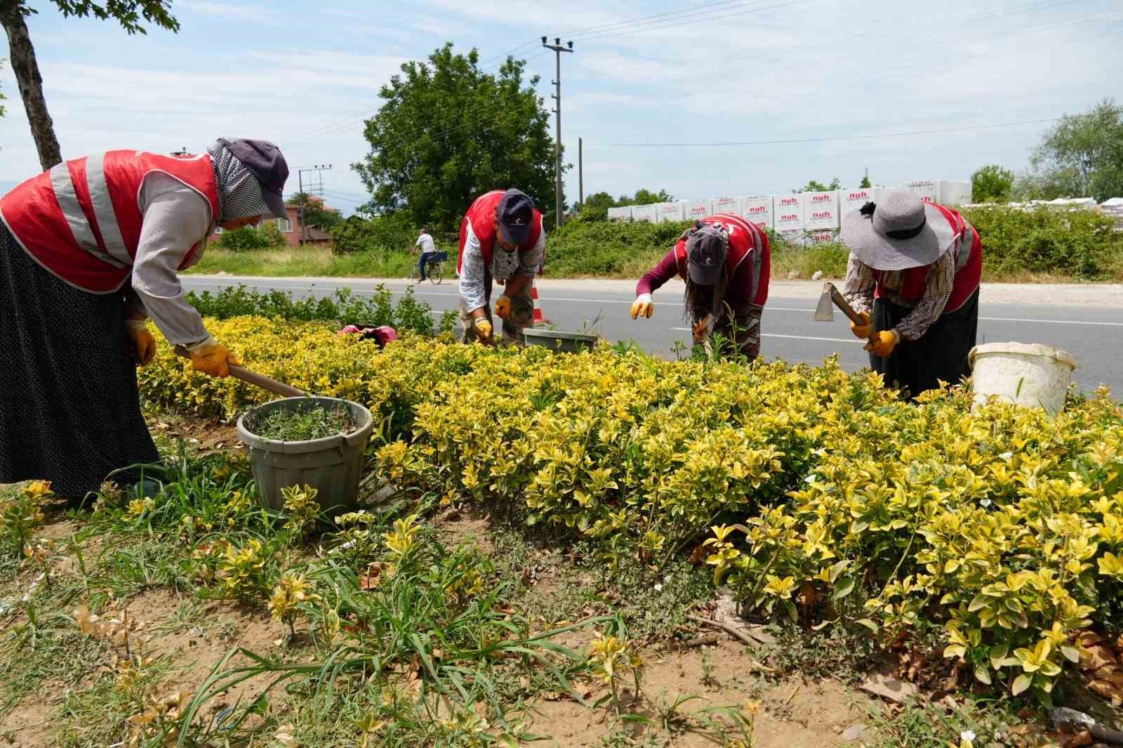 Düzce’de 433 ağaç, 211 bin çiçek toprakla buluşturuldu
