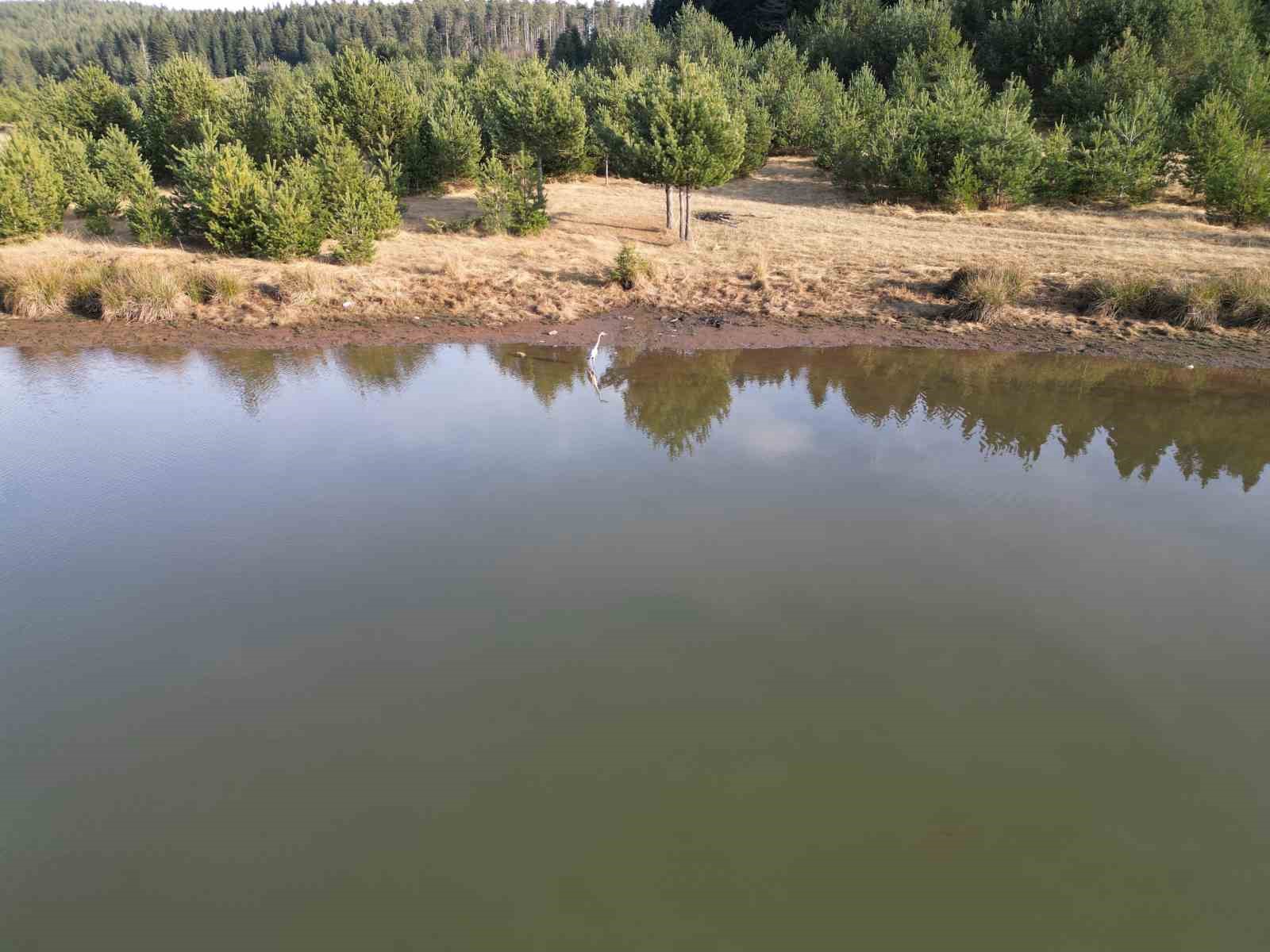 Tarihi, doğal güzelliği ile büyüleyen yayla ve gölet; tabiat parkı olmaya aday
