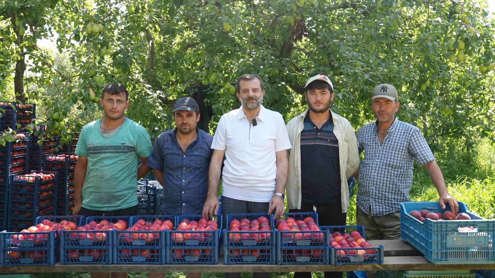 Bursa Şeftalisi’ne Avrupa’dan tescil müjdesi
