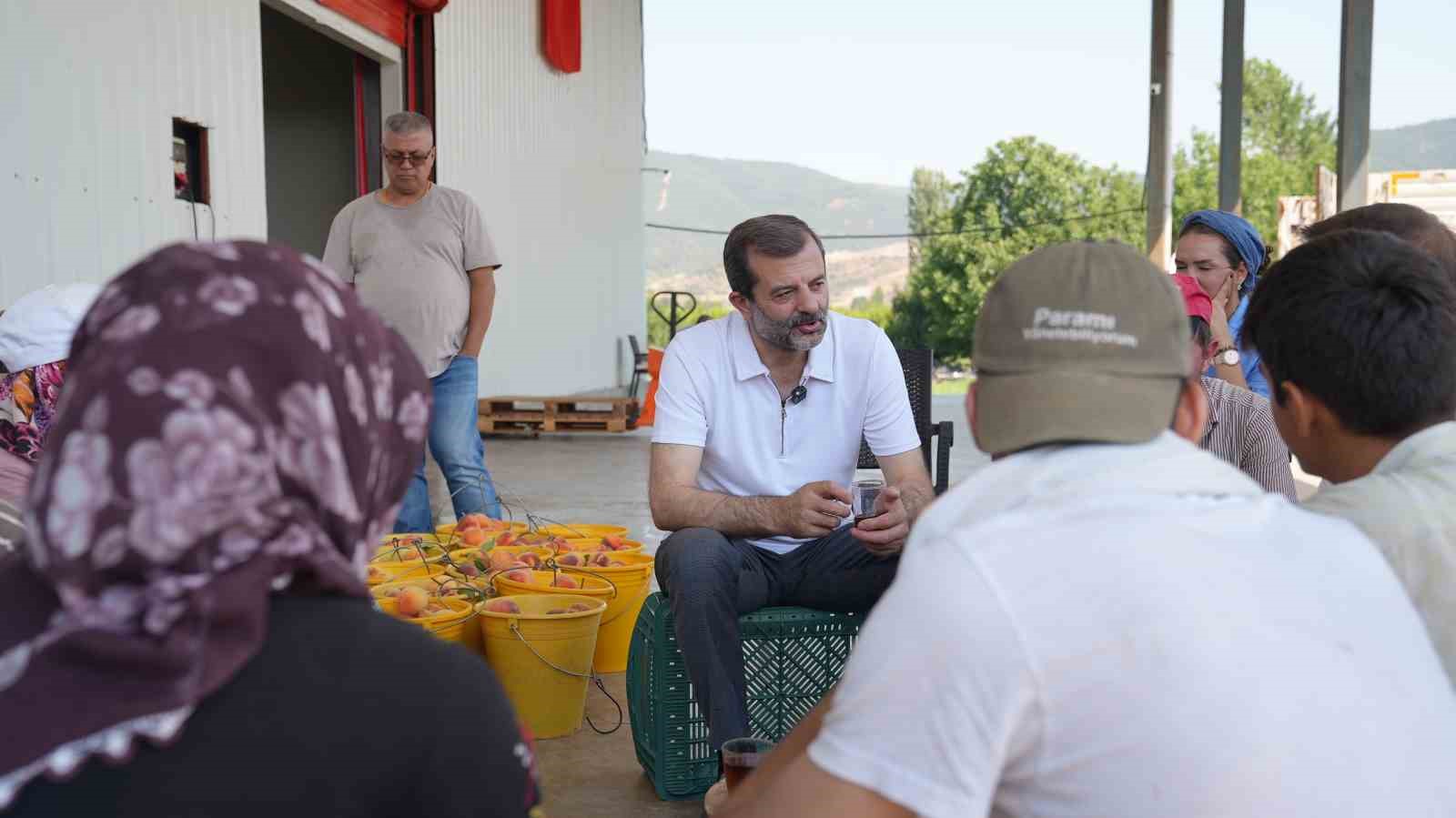 Bursa Şeftalisi’ne Avrupa’dan tescil müjdesi
