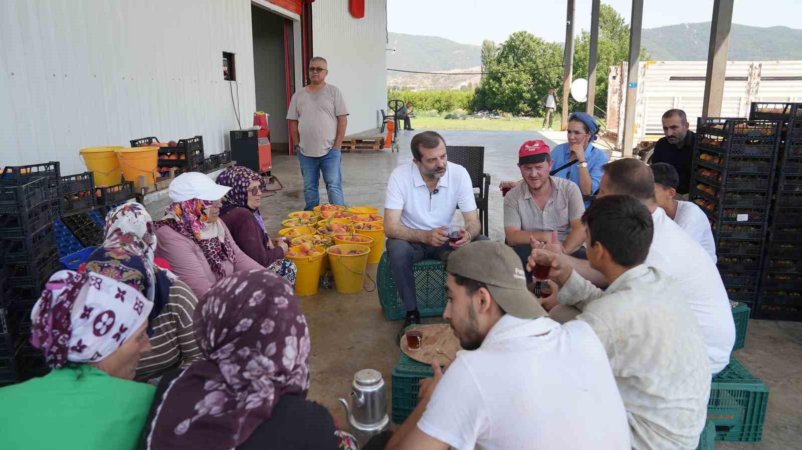 Bursa Şeftalisi’ne Avrupa’dan tescil müjdesi
