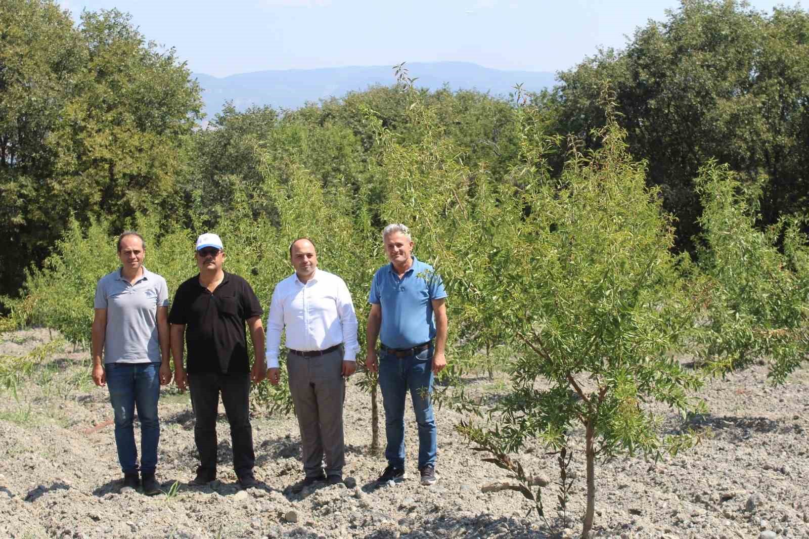 Badem Pazarlı üreticilere umut oldu
