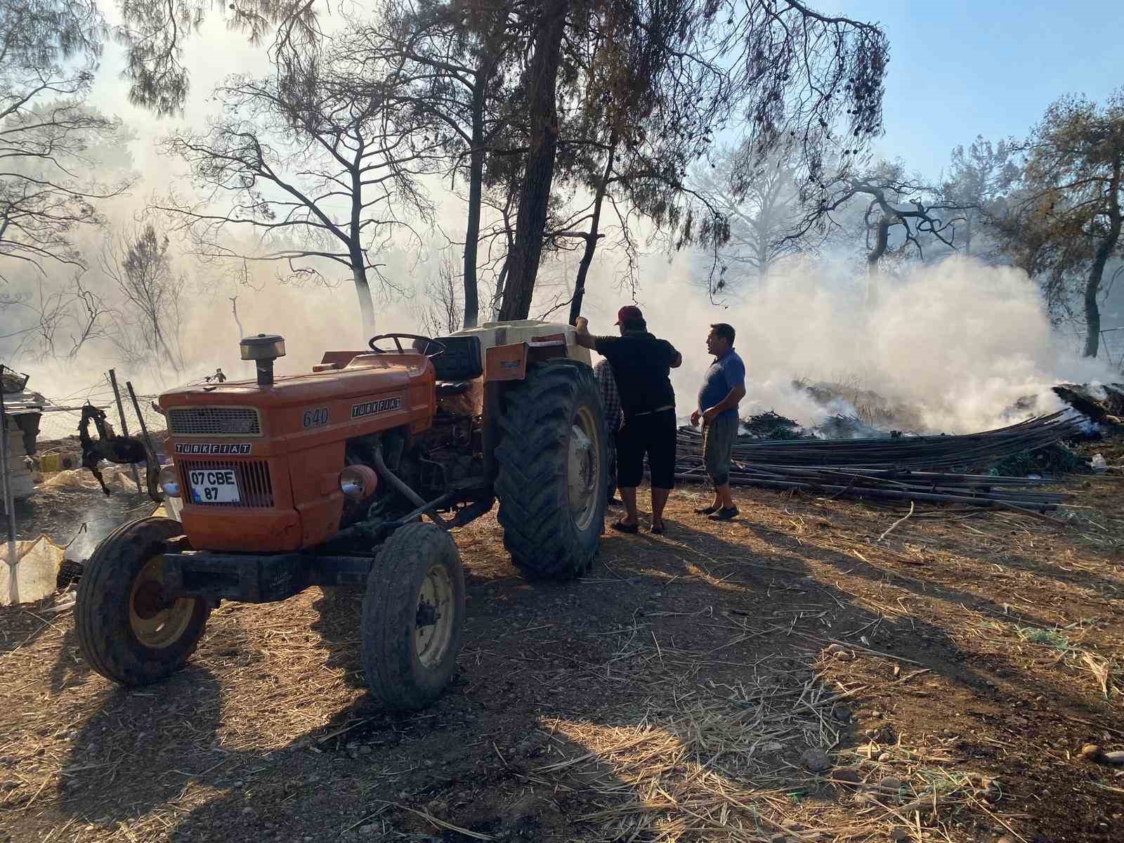 Ormanlık alanda çıkan yangın seralara sıçradı
