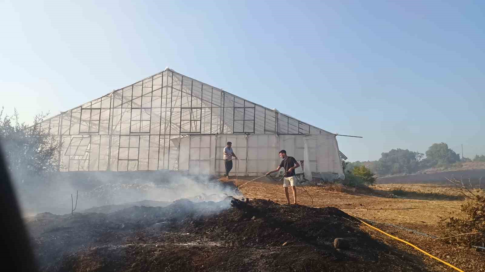 Ormanlık alanda çıkan yangın seralara sıçradı
