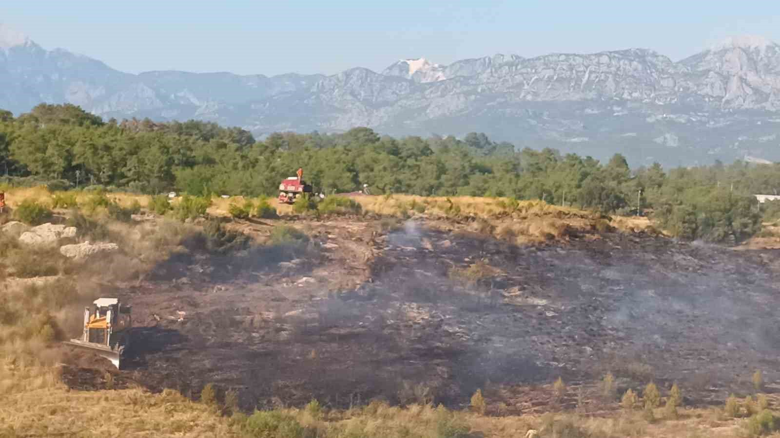 Ormanlık alanda çıkan yangın seralara sıçradı
