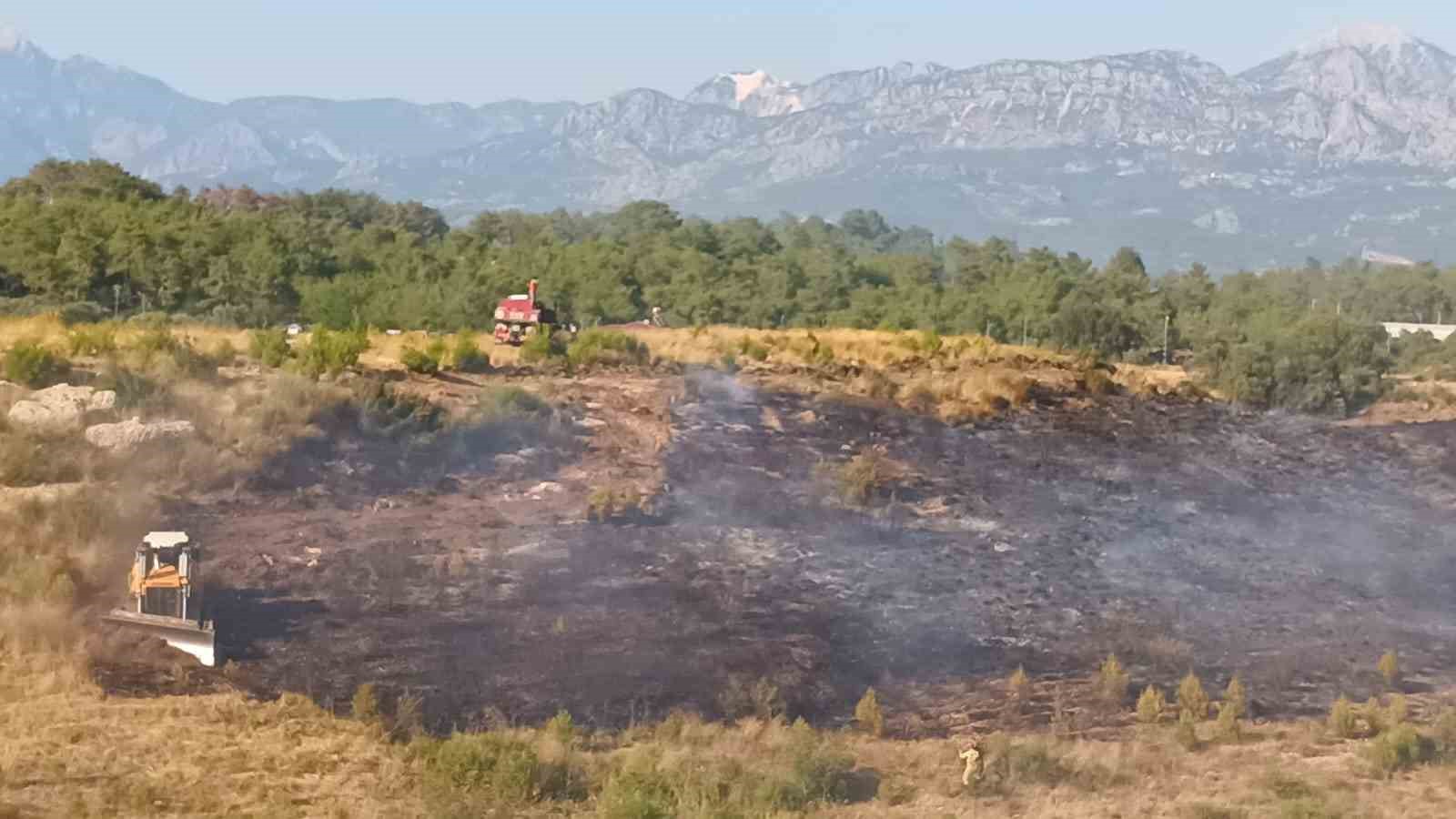 Ormanlık alanda çıkan yangın seralara sıçradı
