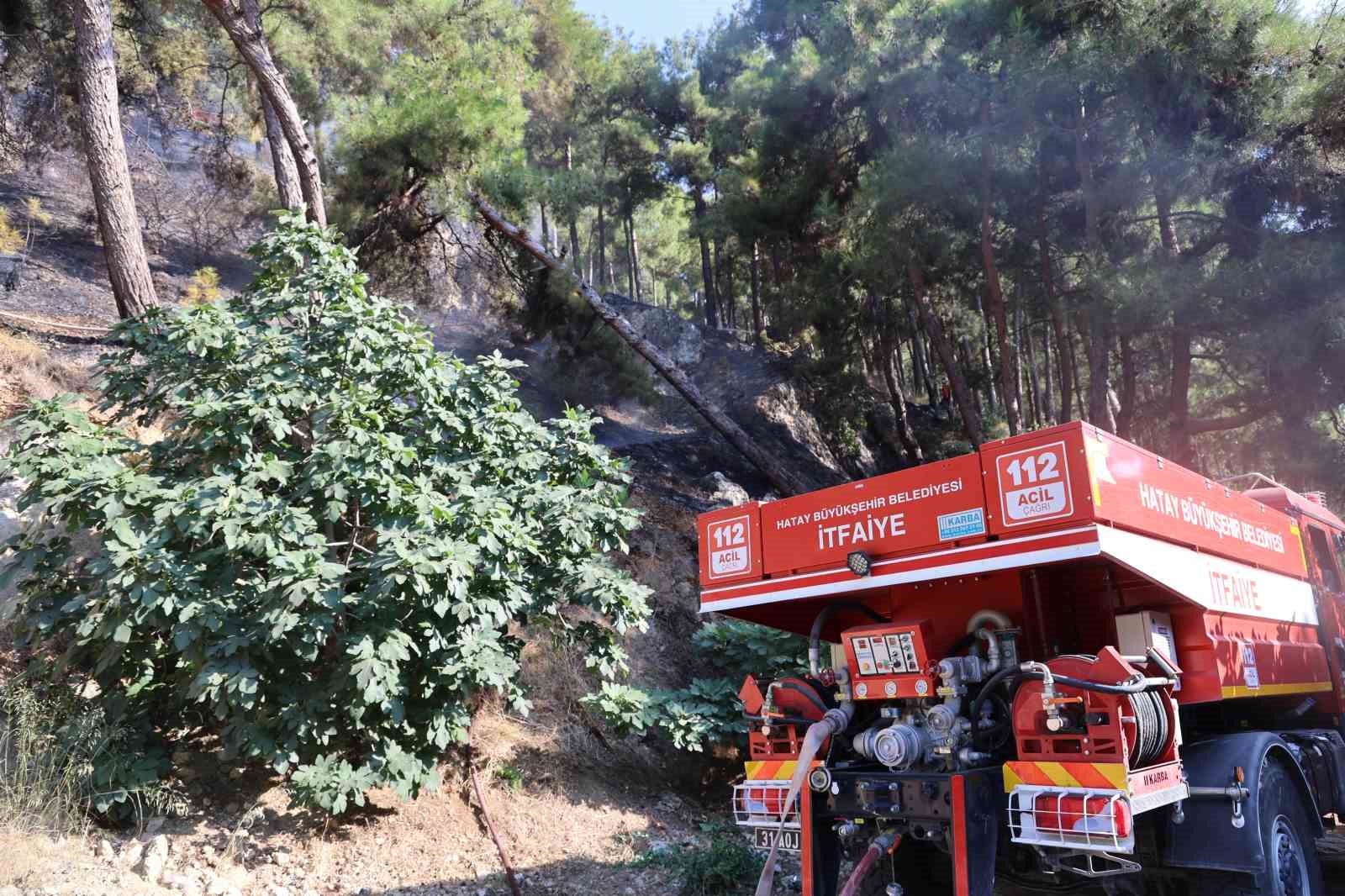 Habibi Neccar Dağı’nda çıkan orman yangını söndürüldü
