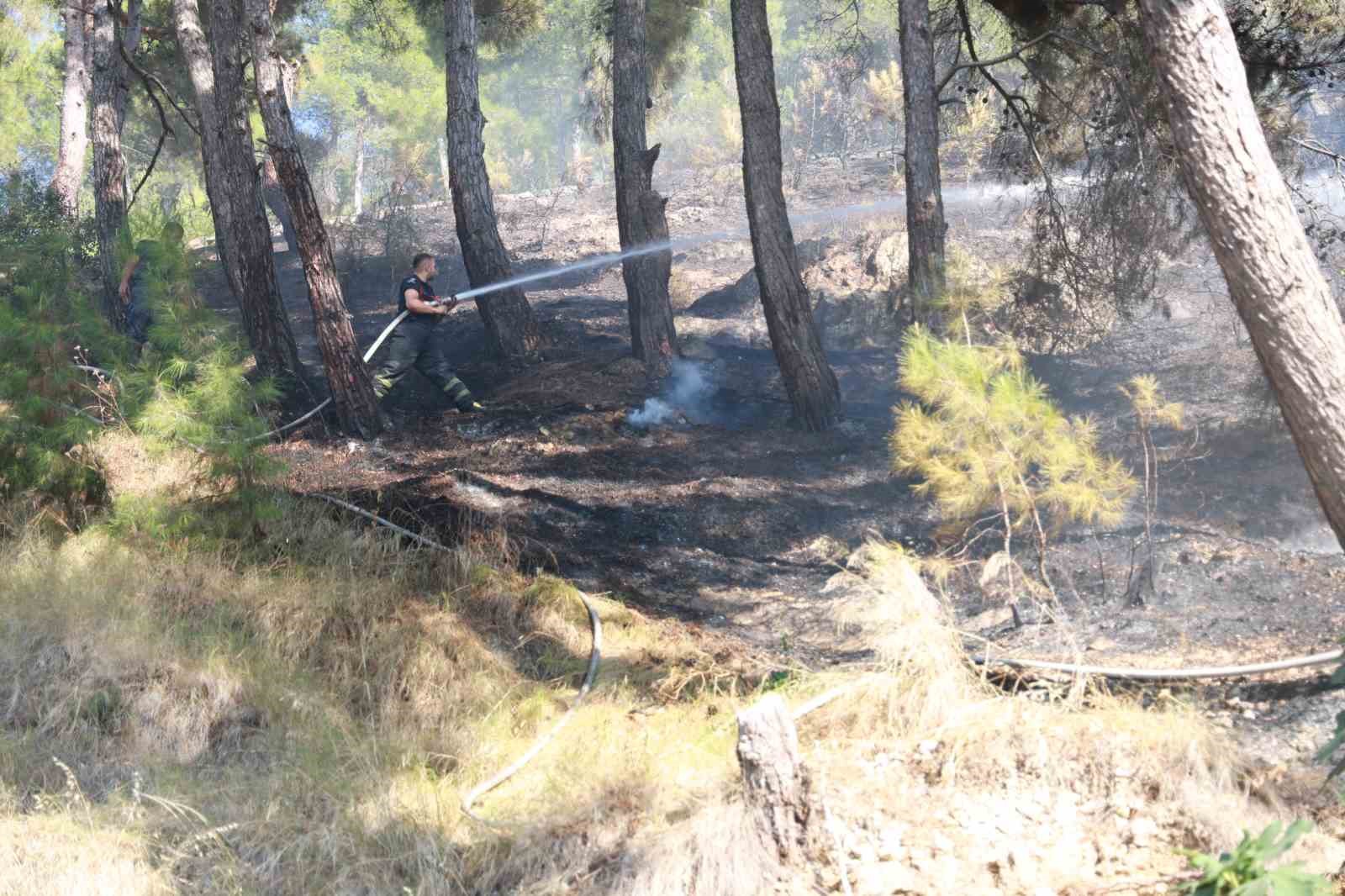 Habibi Neccar Dağı’nda çıkan orman yangını söndürüldü
