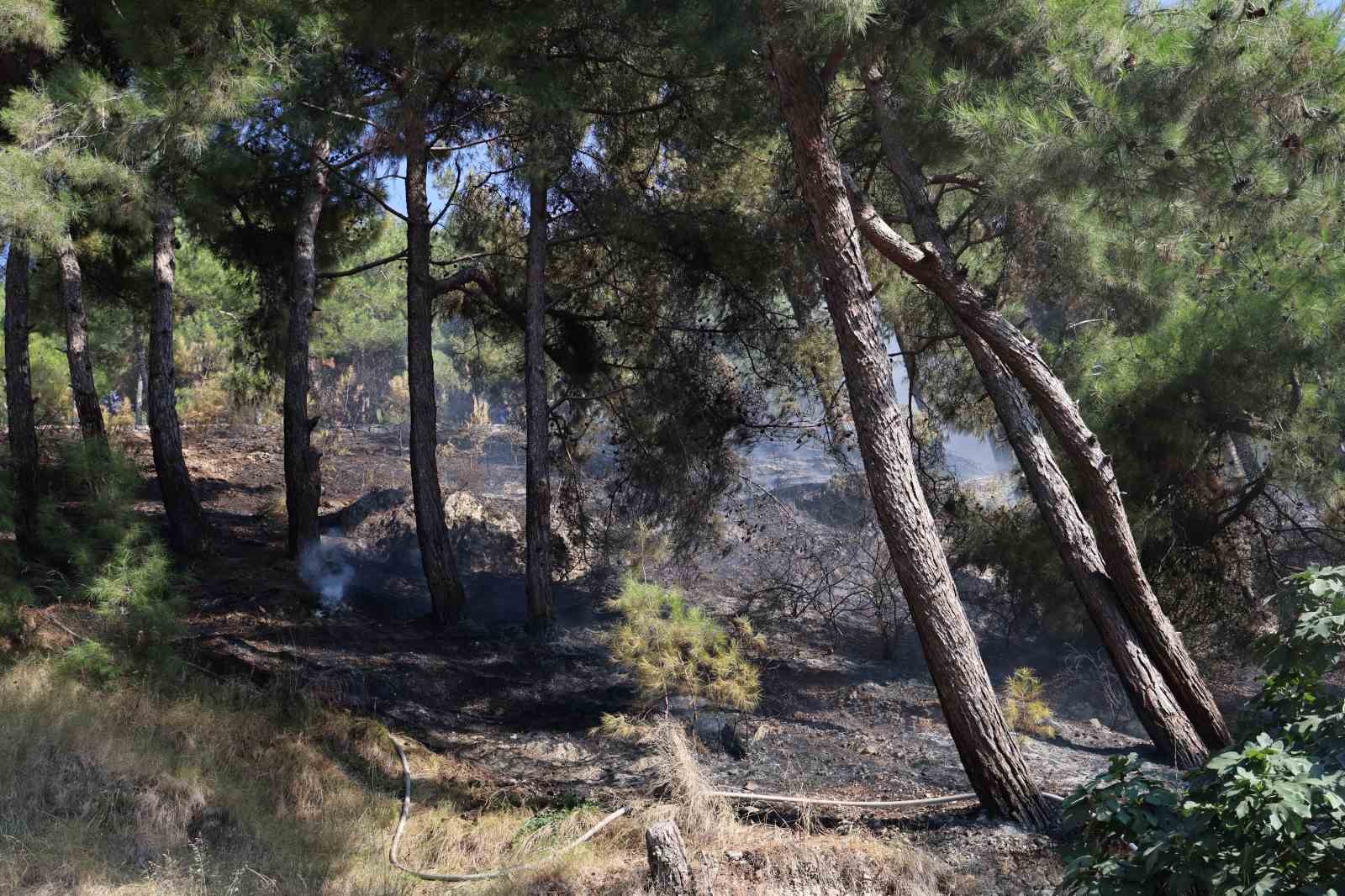 Habibi Neccar Dağı’nda çıkan orman yangını söndürüldü
