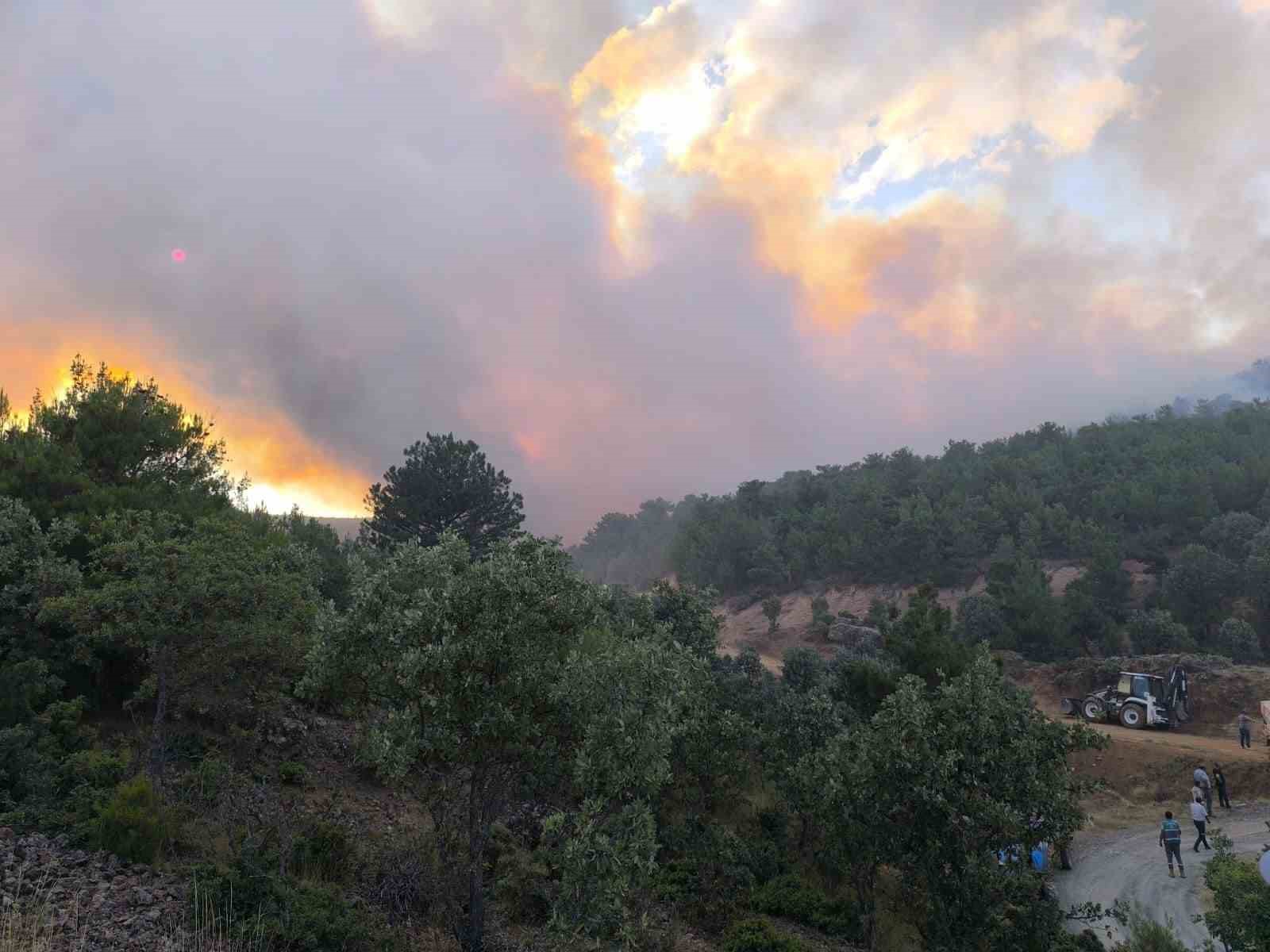 Uşak’ta ormanlık alandaki çıkan yangına müdahale devam ediyor
